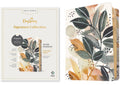 NLT Wide Margin Bible with filament enabled edition and autumn leaves design