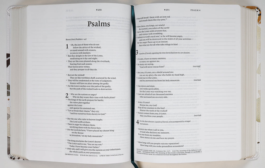 NLT Wide Margin Bible Filament Enabled Edition Autumn Leaves Dayspring Signature Collection (Red Letter Edition) (Dayspring Signature Collection)