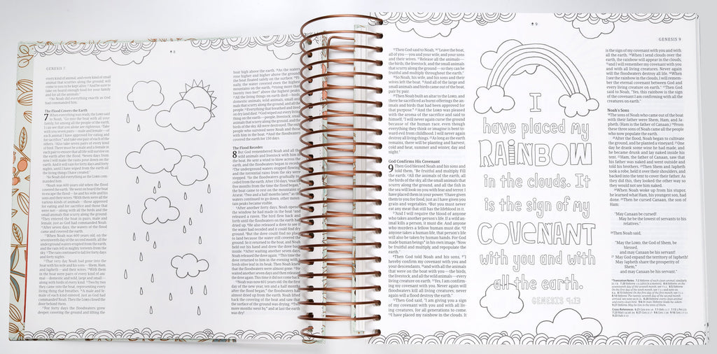 NLT Inspire Illustrating Bible Filament-Enabled Edition Mint Floral Garden
