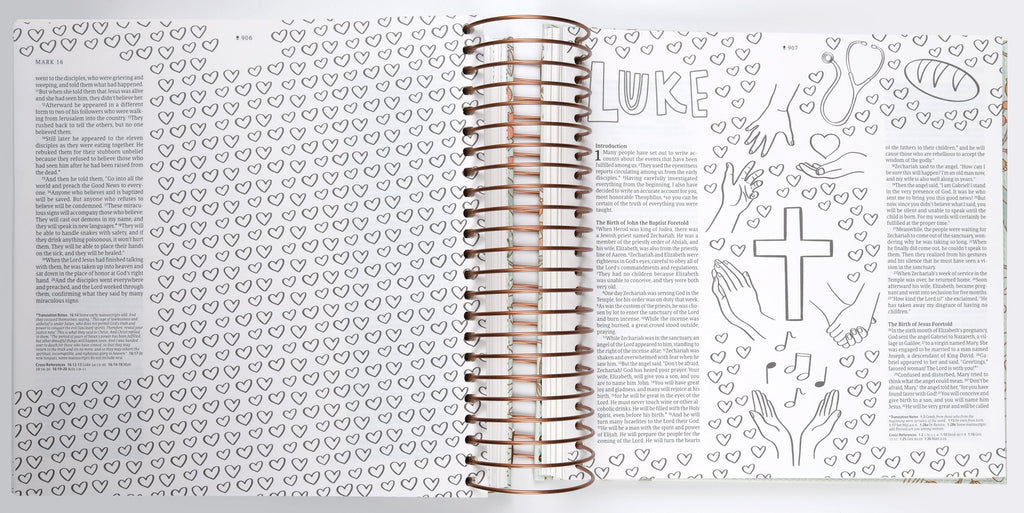Inside pages of the NLT Inspire Devotional Journaling Bible for Women with mint floral garden illustrations
