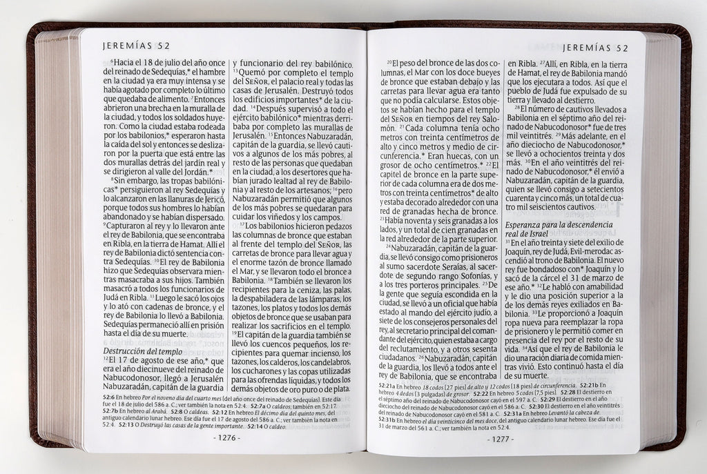 Spanish Bible in Large Print Red Letter Edition