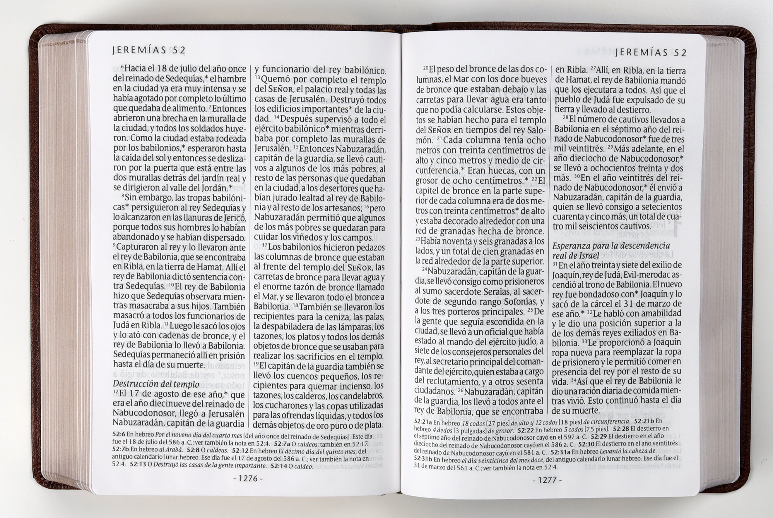 Spanish Bible in Large Print Red Letter Edition