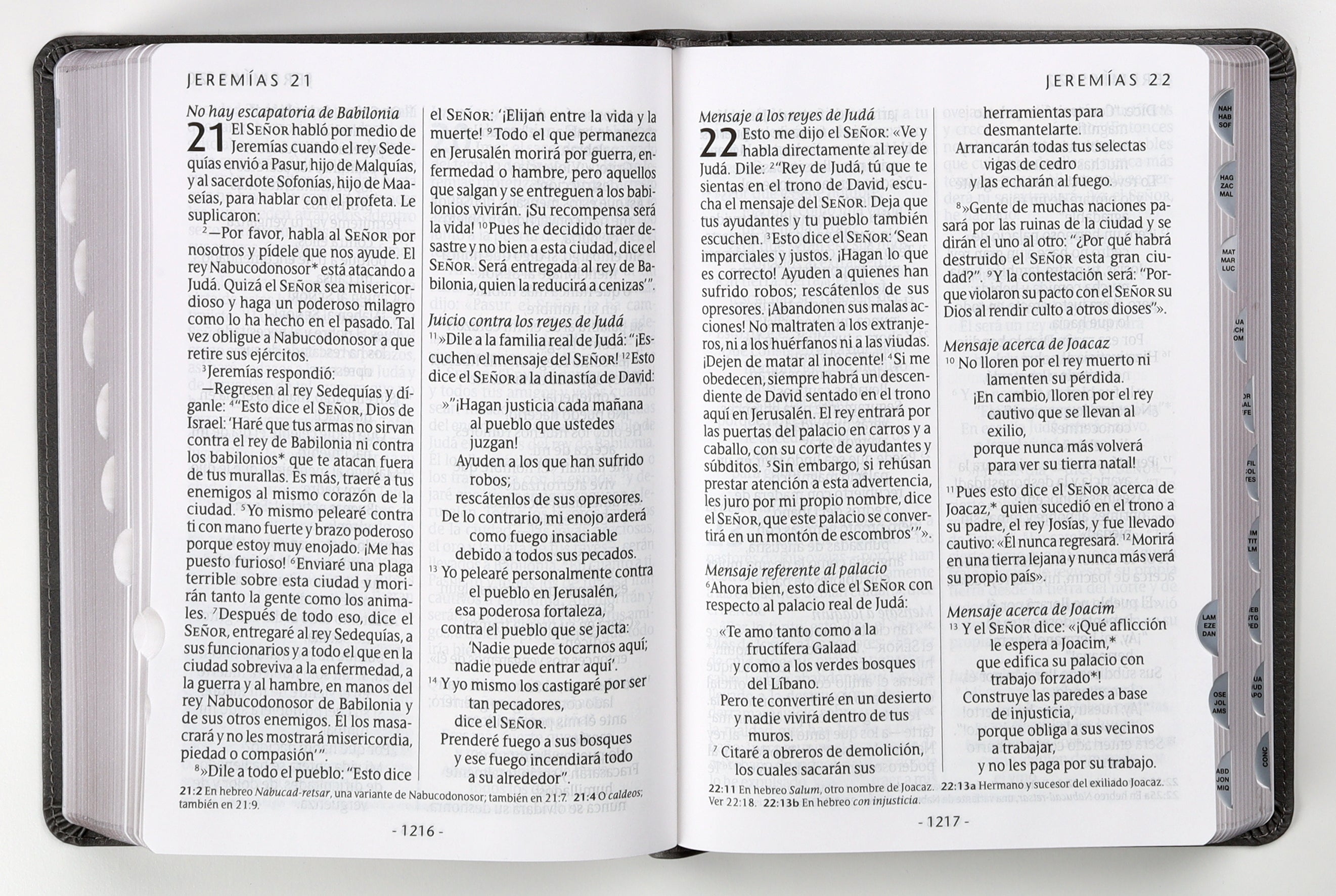 Spanish Giant Print Bible with Red Letter Edition and Index