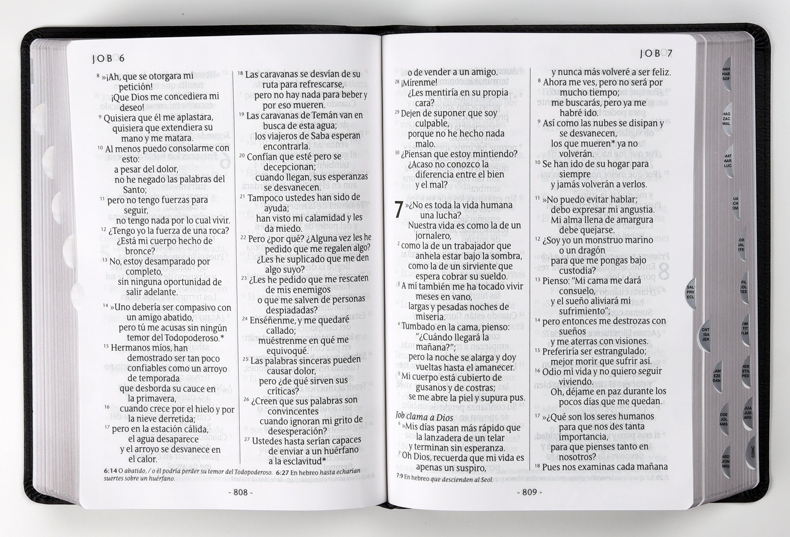 NIV Spanish Bible Red Letter Edition Manual Letter Gigante Negro