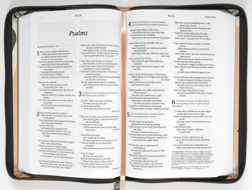 NLT Thinline Reference Zipper Bible Filament Enabled Edition with red letter edition and sunset branches design
