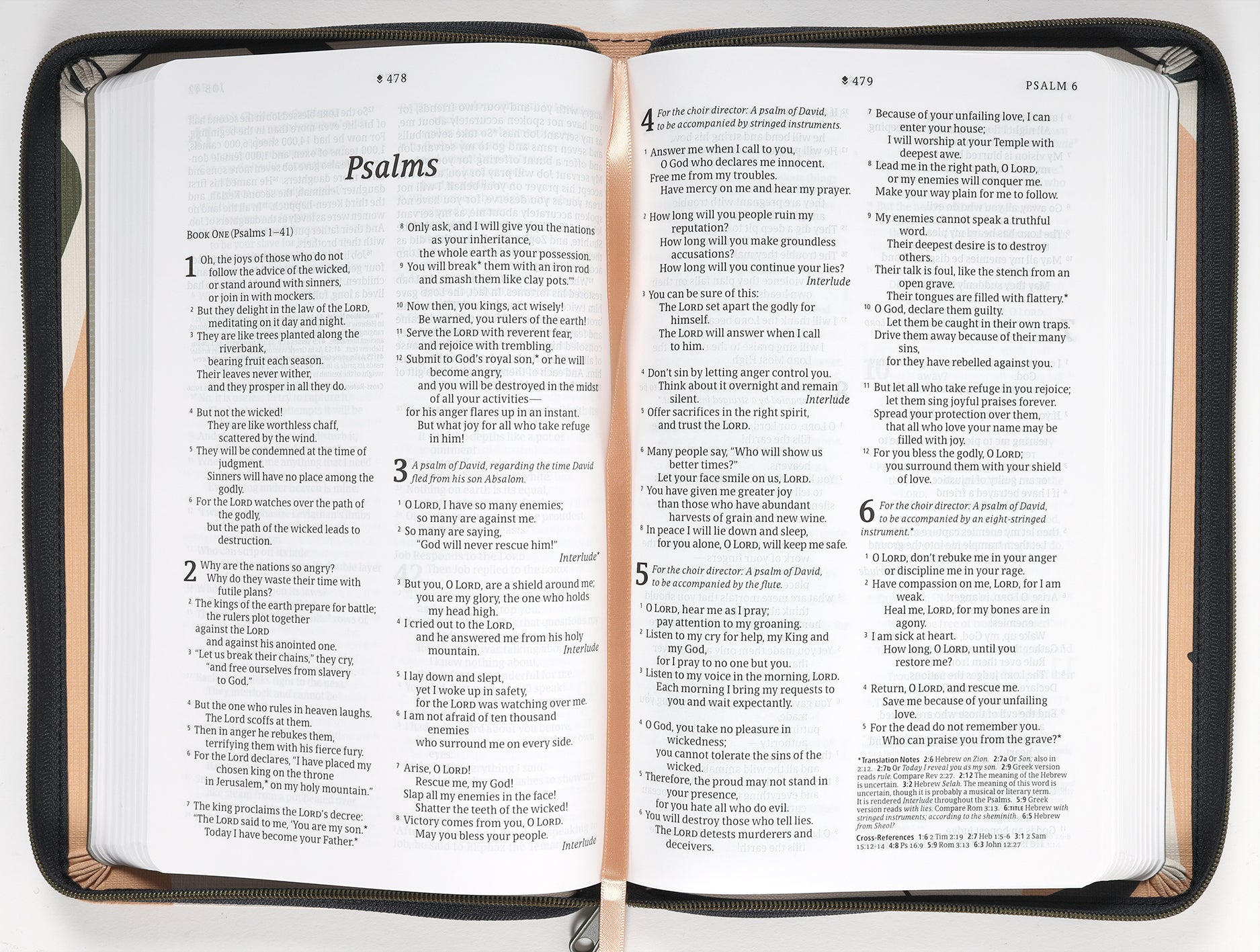 NLT Thinline Reference Zipper Bible Filament Enabled Edition with red letter edition and sunset branches design