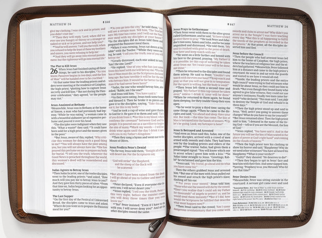NLT New Living Translation Large Print Thinline Reference Zipper Bible in Leather Binding