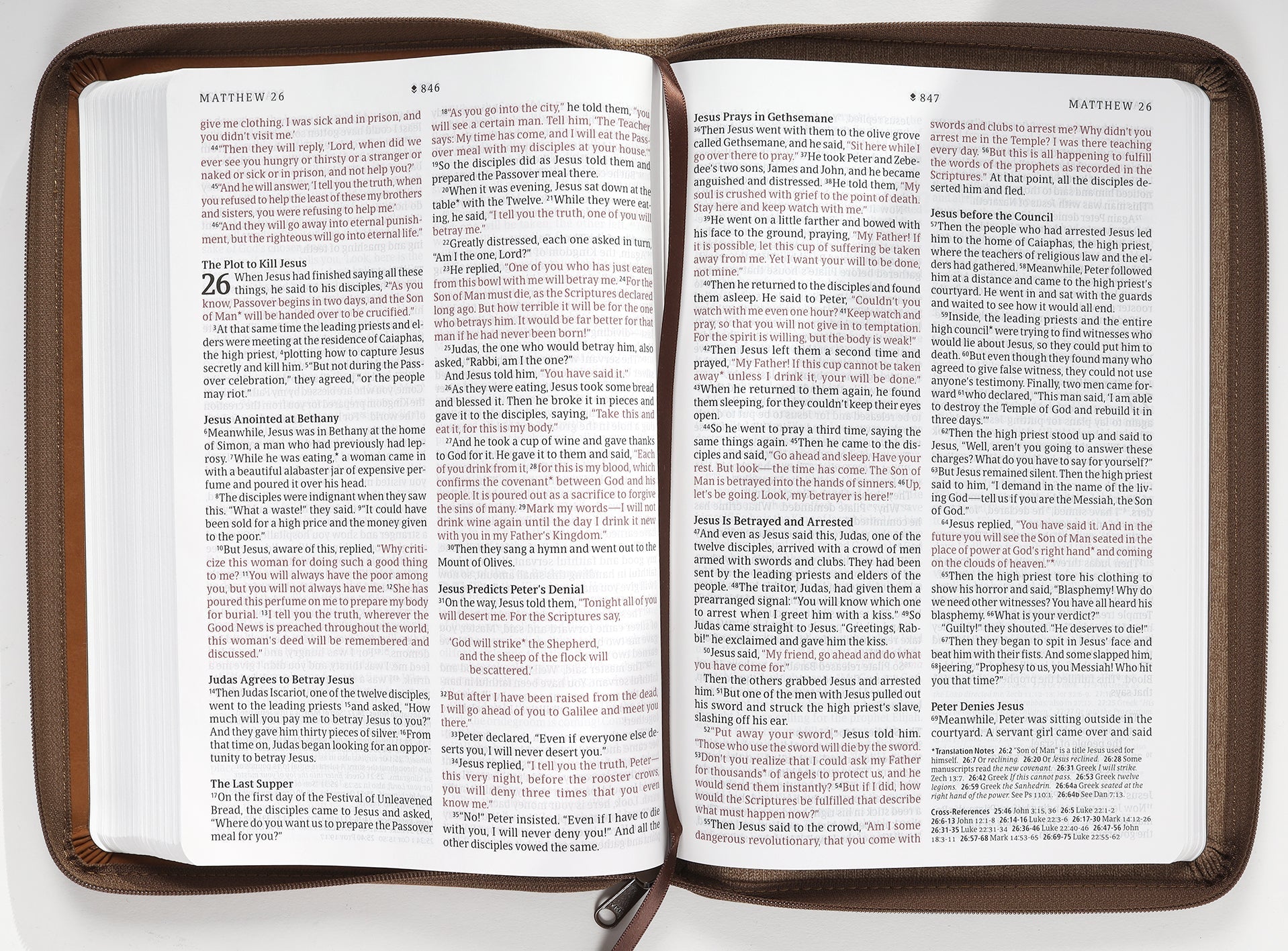 NLT New Living Translation Large Print Thinline Reference Zipper Bible in Leather Binding