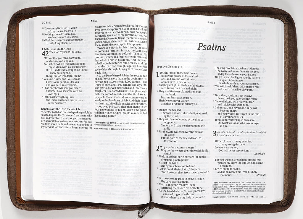 NLT New Living Translation Large Print Thinline Reference Zipper Bible with Thinline Design