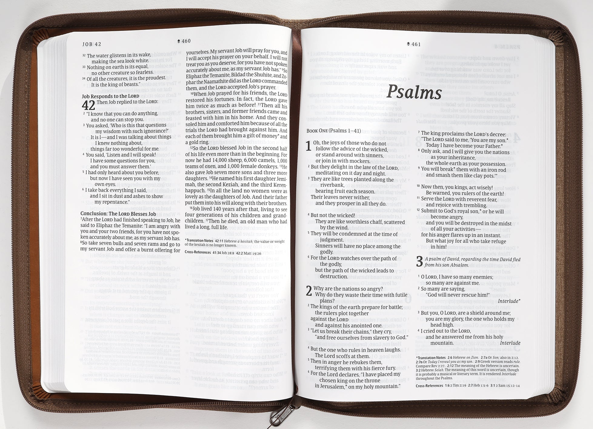 NLT New Living Translation Large Print Thinline Reference Zipper Bible with Thinline Design