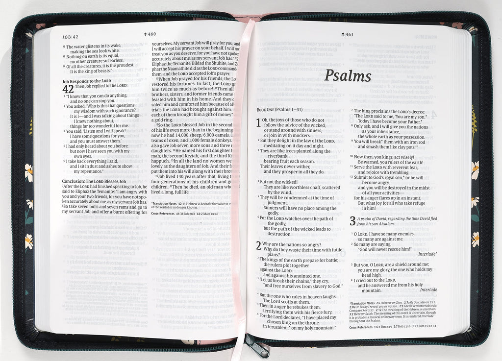 Thinline NLT Bible with large print, red letter edition and filament enabled technology