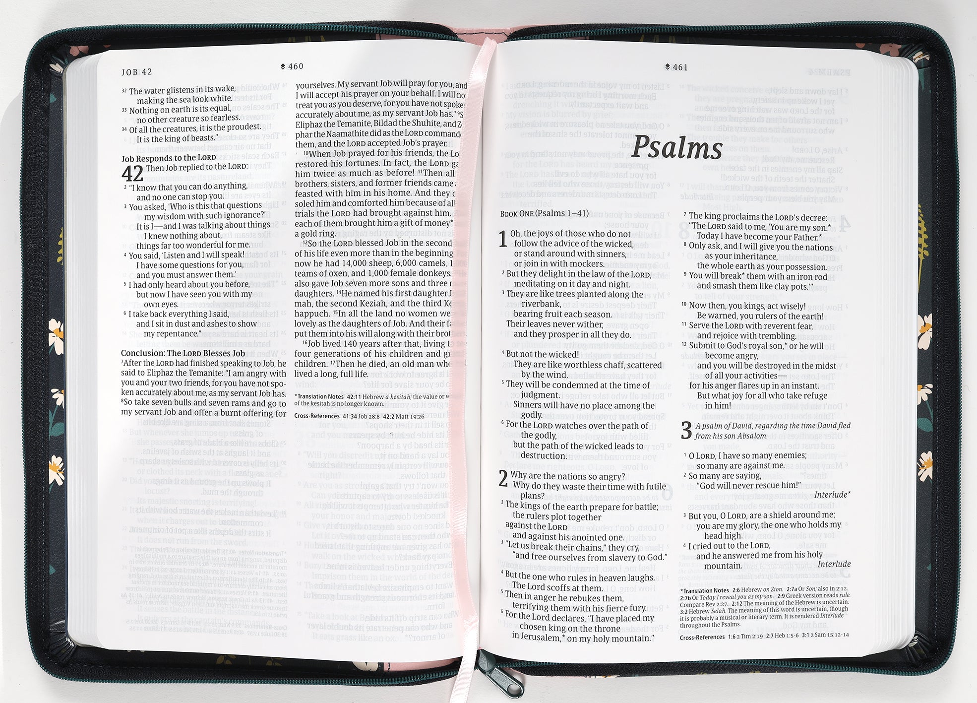 Thinline NLT Bible with large print, red letter edition and filament enabled technology