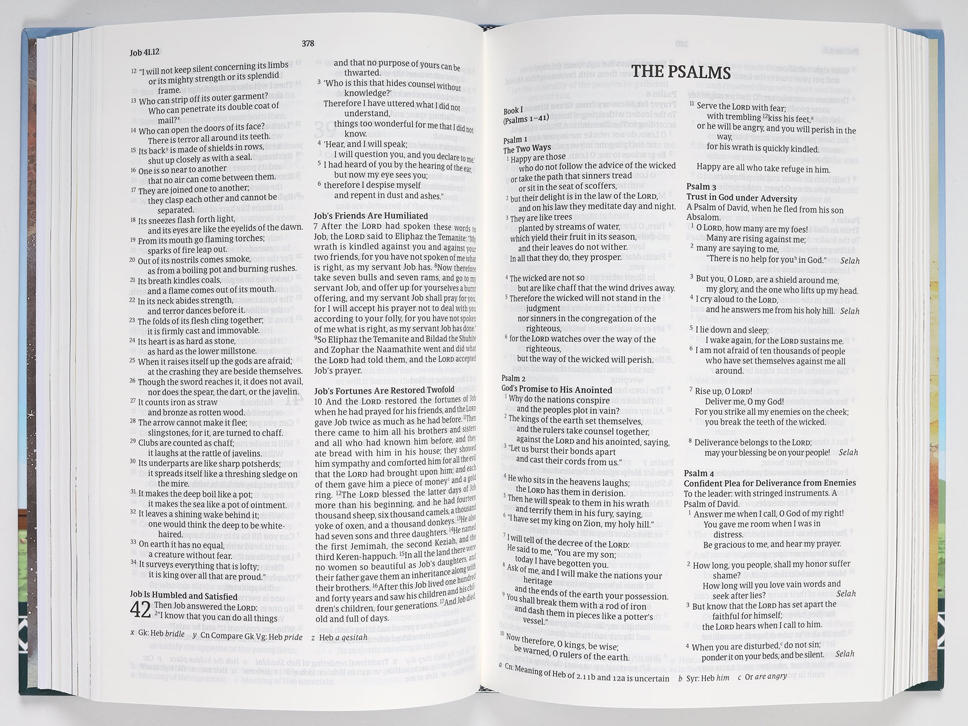 Nrsvue Children's Bible (Black Letter Edition) (Ages 7-12)