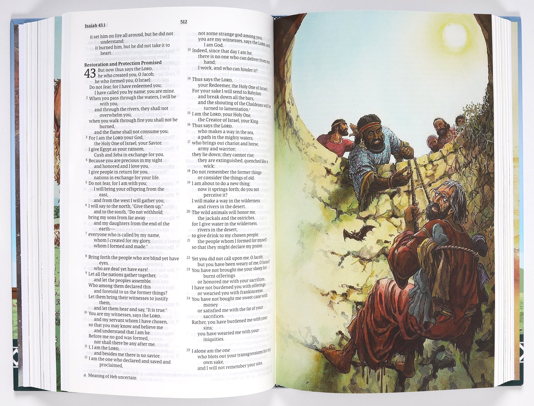 NRSVUE Children's Bible featuring Black Letter Edition, perfect for children aged 7-12