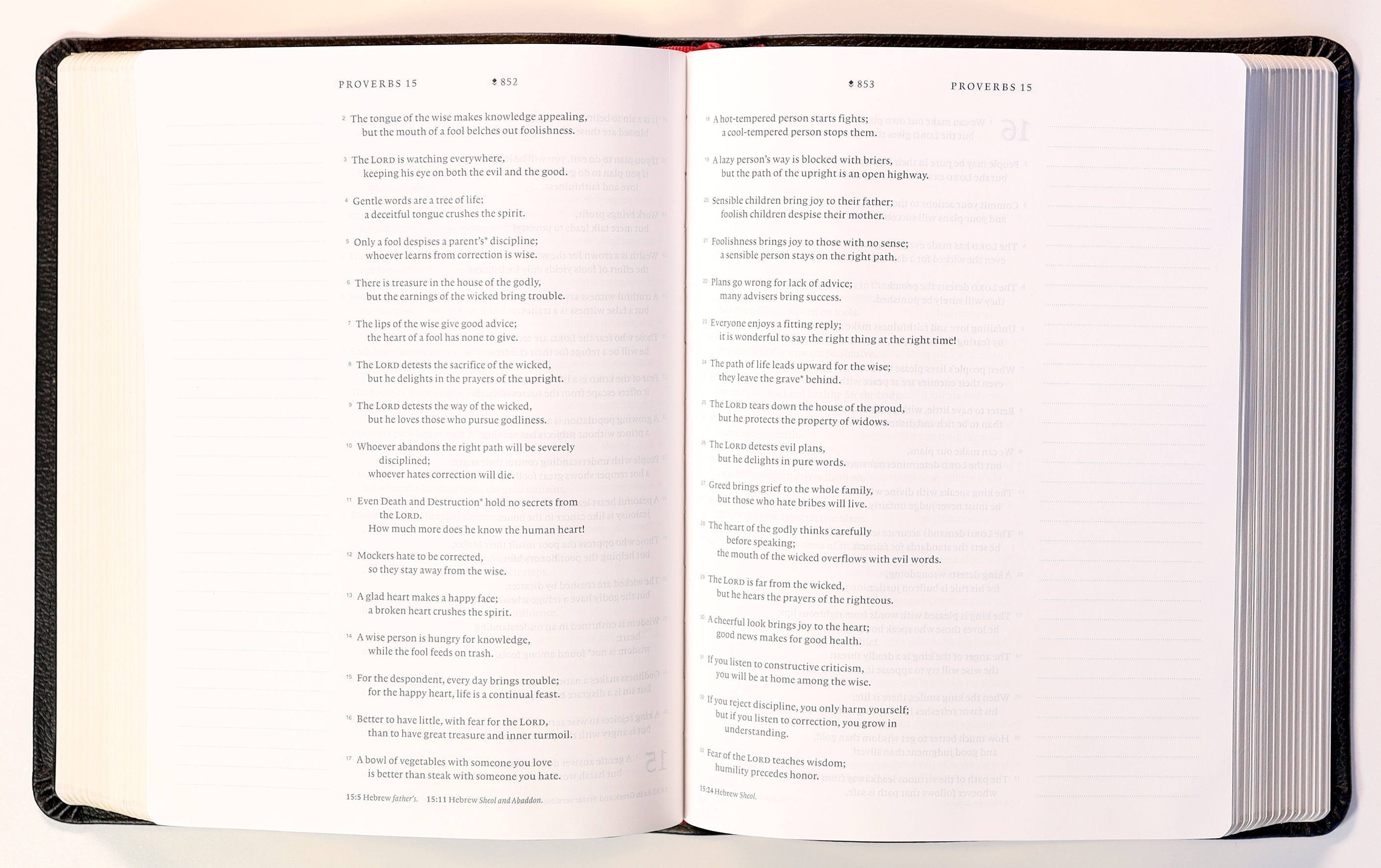 Image of NLT Wide Margin Bible's interior, showcasing red letter edition and wide margins for notes.