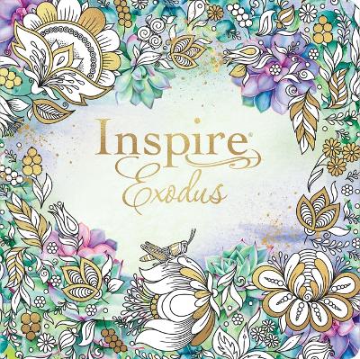 New Living Translation NLT Inspire Bible, featuring devotionals and inspirational study content for spiritual growth
