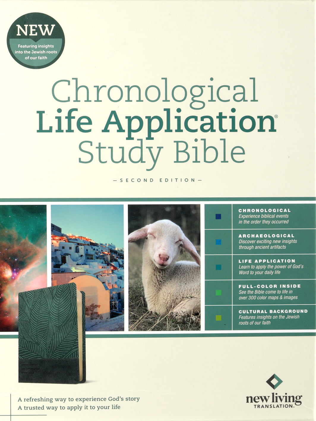 NLT Chronological Life Application Study Bible, 2nd Edition, Slate Blue Leather on desk
