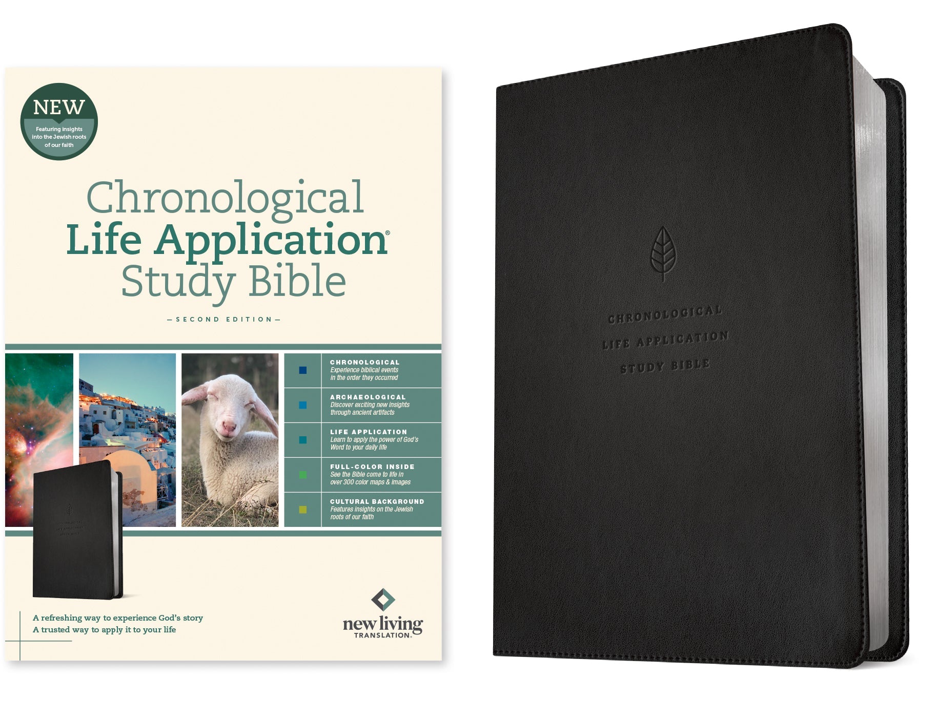NLT Chronological Life Application Study Bible 2nd Edition, a Christian study Bible