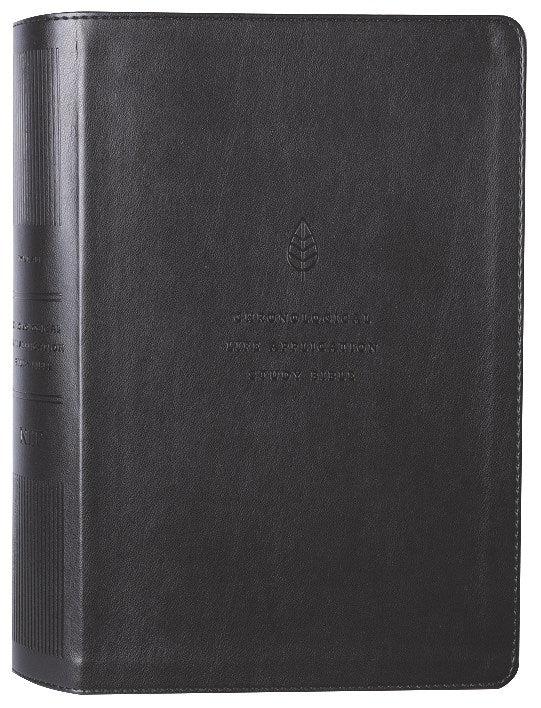 NLT Chronological Life Application Study Bible 2nd Edition, a Bible study resource