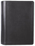 NLT Chronological Life Application Study Bible 2nd Edition, a Bible study resource