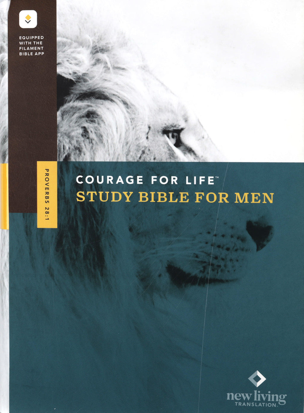 Study Bible for men with courage and character-building insights