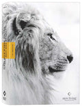 Courage for Life Study Bible for Men with filament-enabled technology