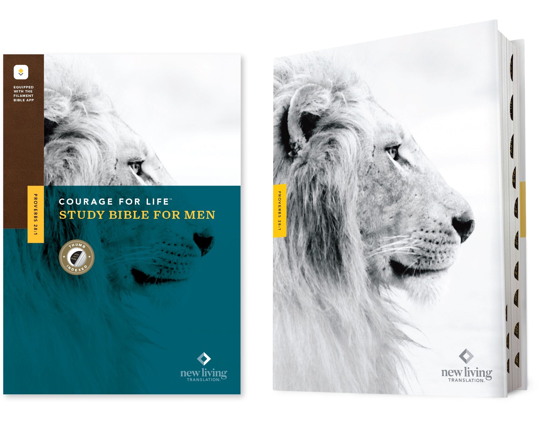 A study Bible designed for men, featuring the NLT translation and a filament-enabled indexed edition
