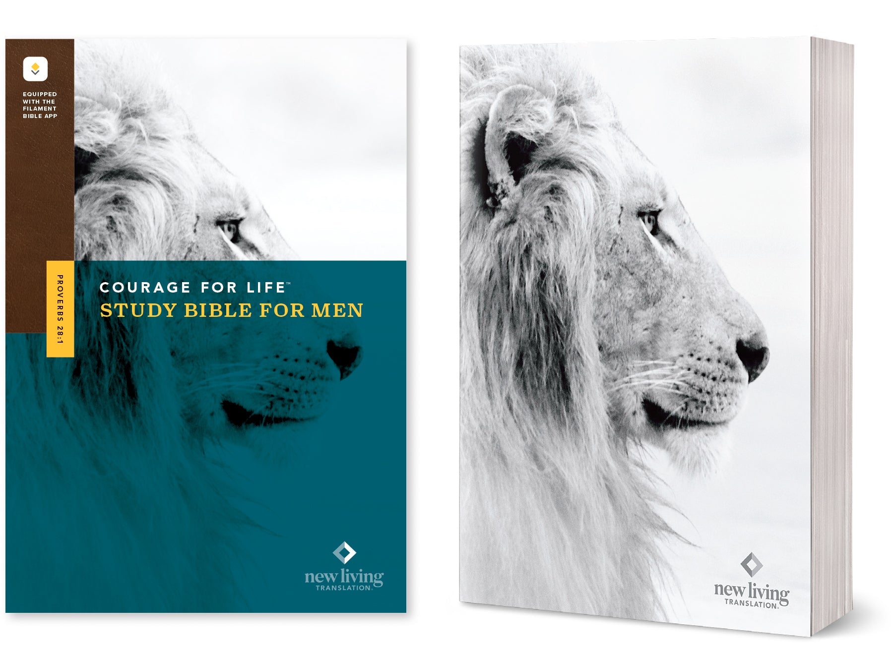 NLT Courage For Life Study Bible for Men Filament-Enabled Edition, a men's Bible