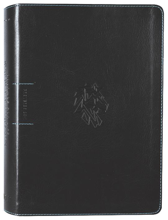 NLT Courage For Life Study Bible For Men Filament-Enabled Edition Onyx Lion book