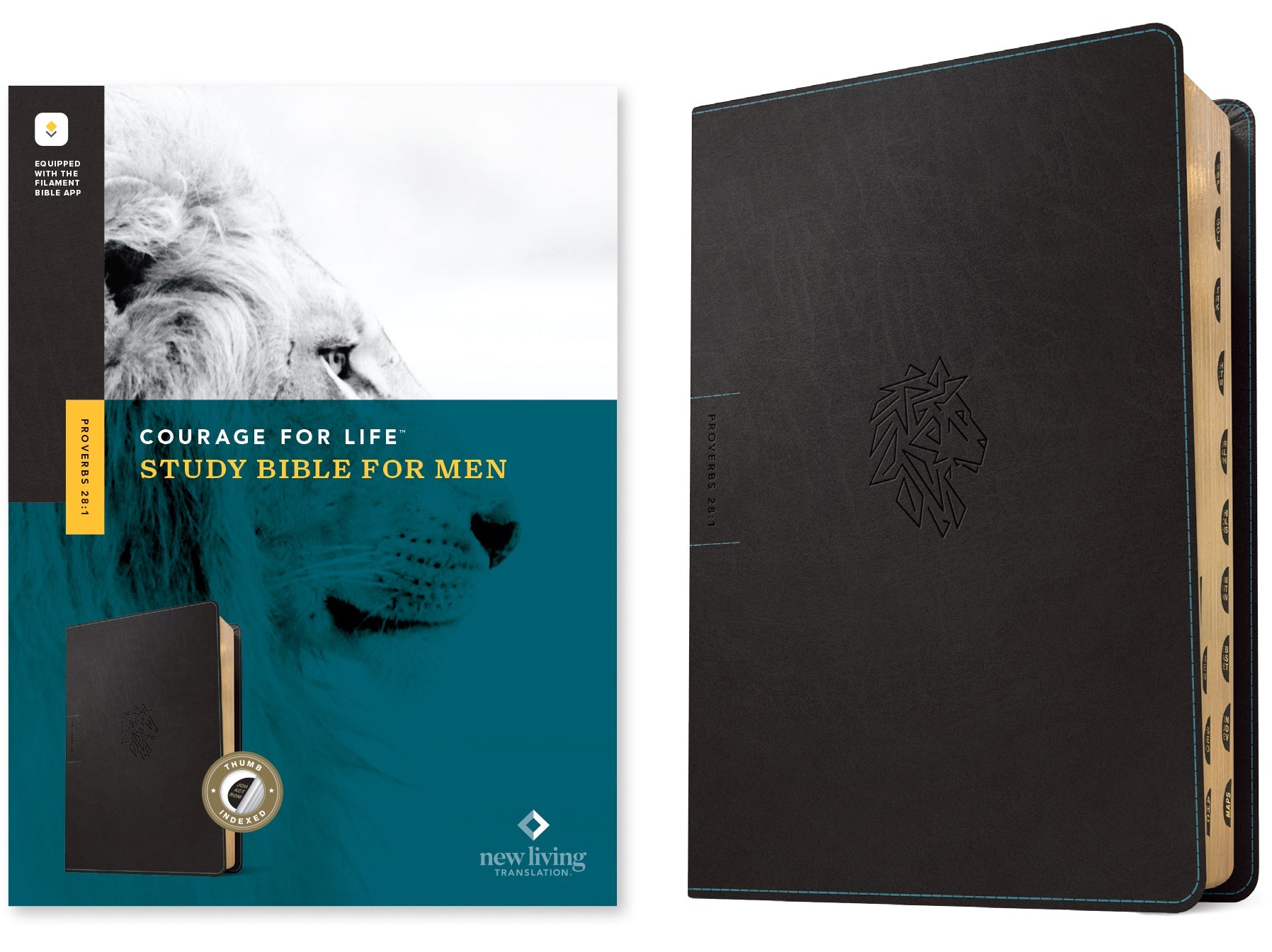 NLT Courage For Life Study Bible for Men, Filament-Enabled Edition