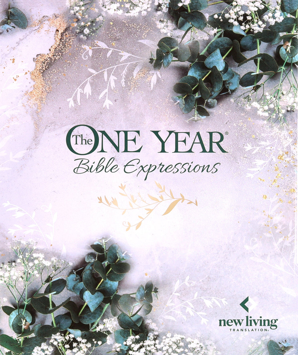 NLT New Living Translation Bible, a popular Bible translation, available for purchase