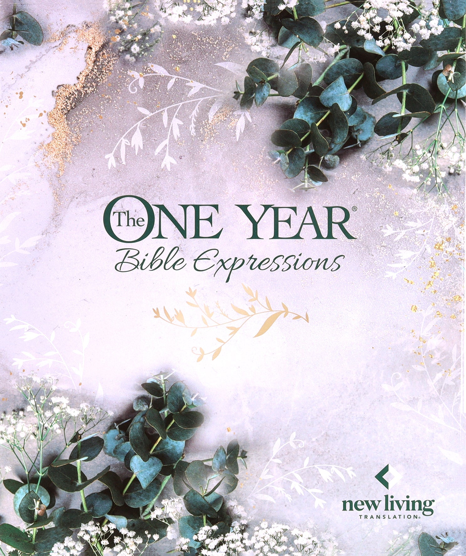 NLT New Living Translation Bible, a popular Bible translation, available for purchase