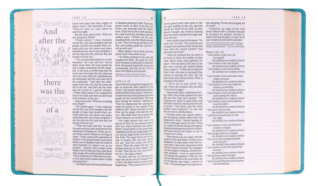 Bible study with the NLT One Year Bible, deepen your faith