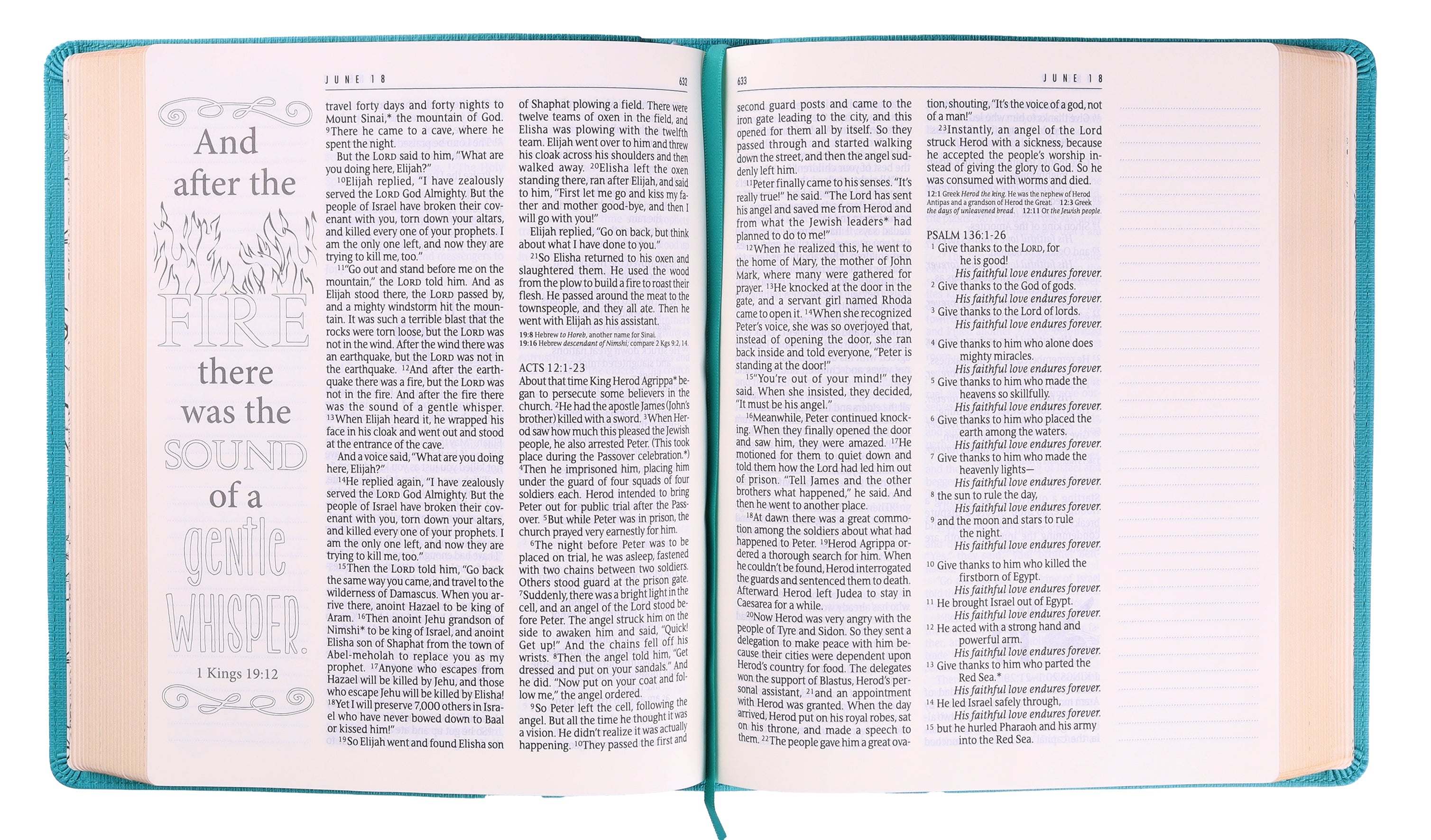Bible study with the NLT One Year Bible, deepen your faith