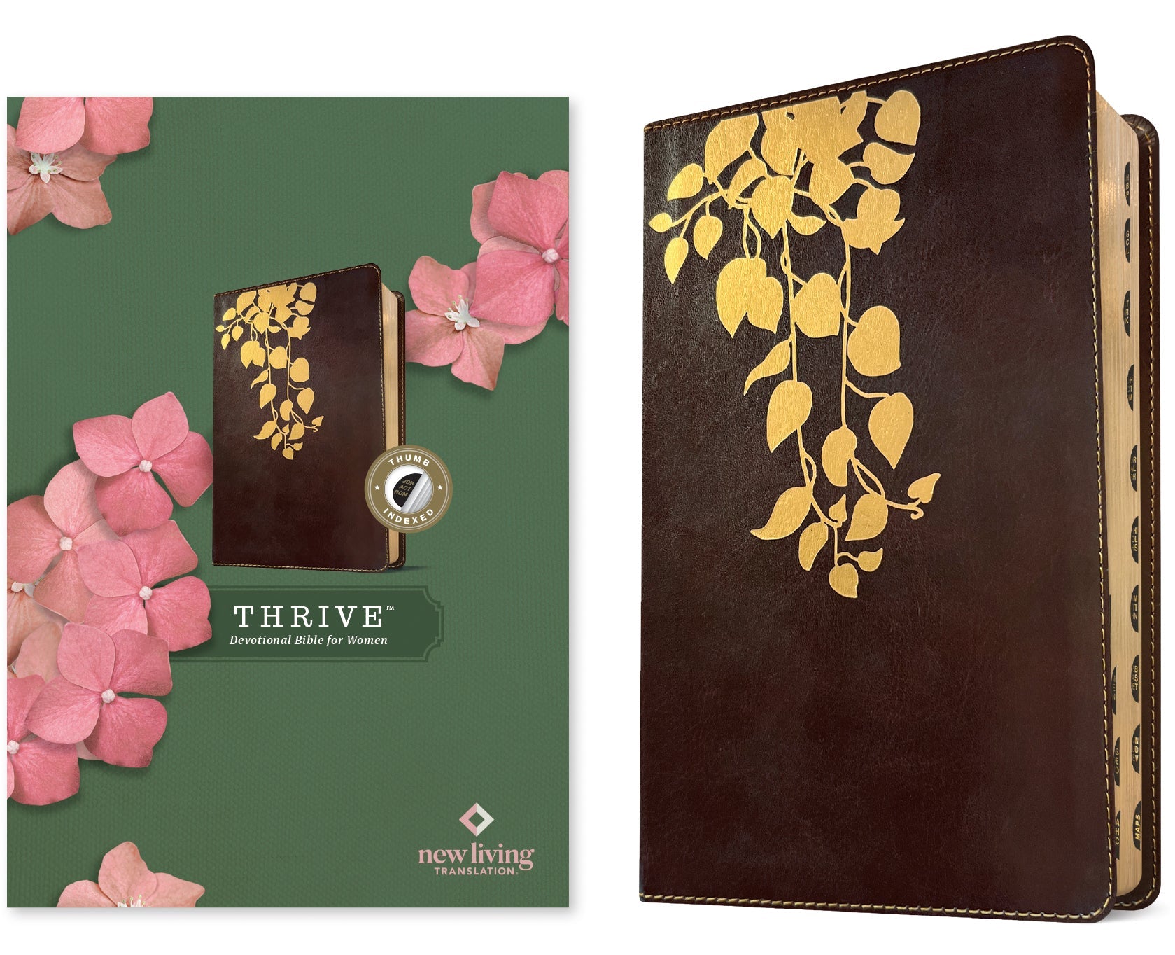 NLT Thrive Devotional Bible for Women, a Bible designed for women with devotionals and indexed features.