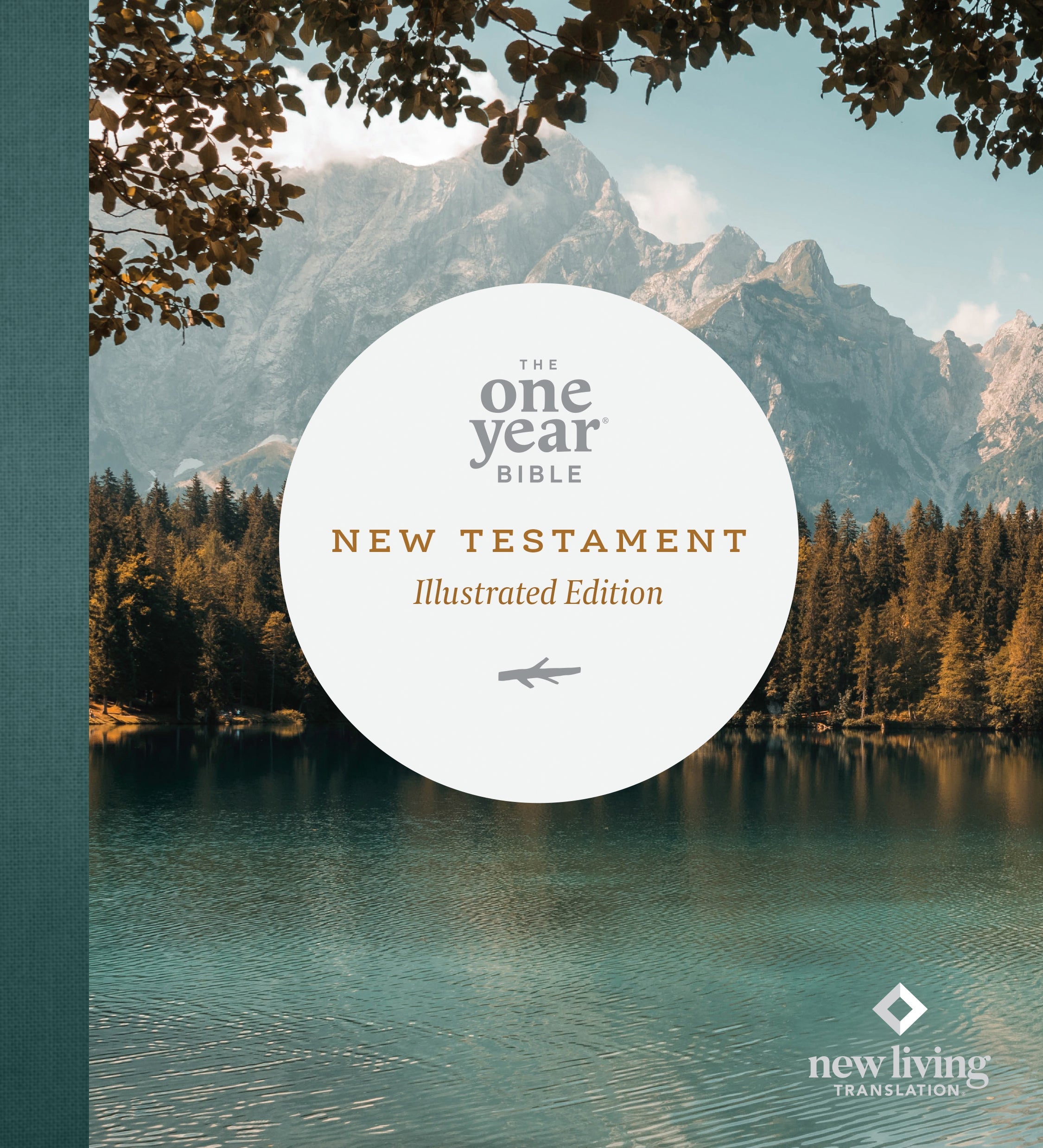 Close up of NLT One Year Bible New Testament, featuring beautiful design and inspiring content.