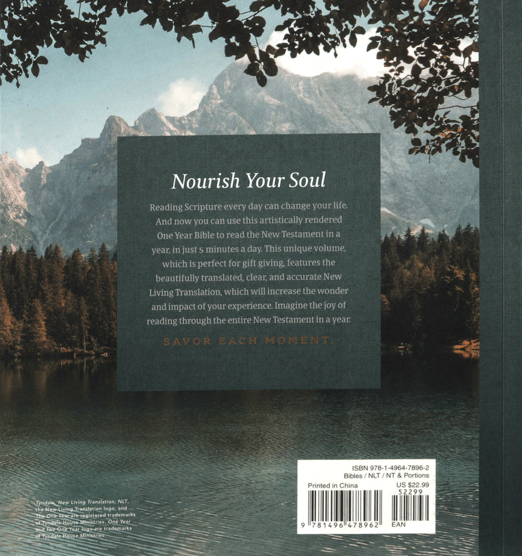 NLT One Year Bible New Testament, a must-have for anyone seeking spiritual guidance and understanding.