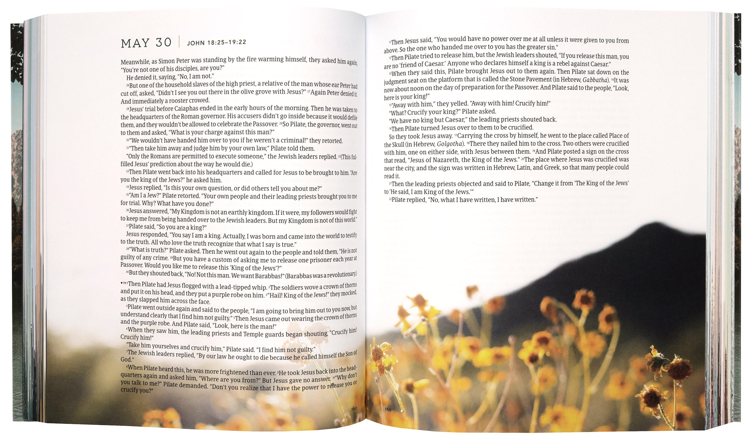 Beautifully designed NLT One Year Bible New Testament, perfect for daily devotions and meditation.