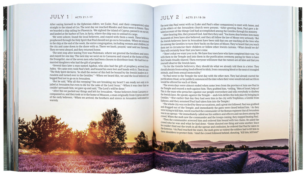 Image of NLT One Year Bible New Testament, a popular choice for spiritual reading and devotion.