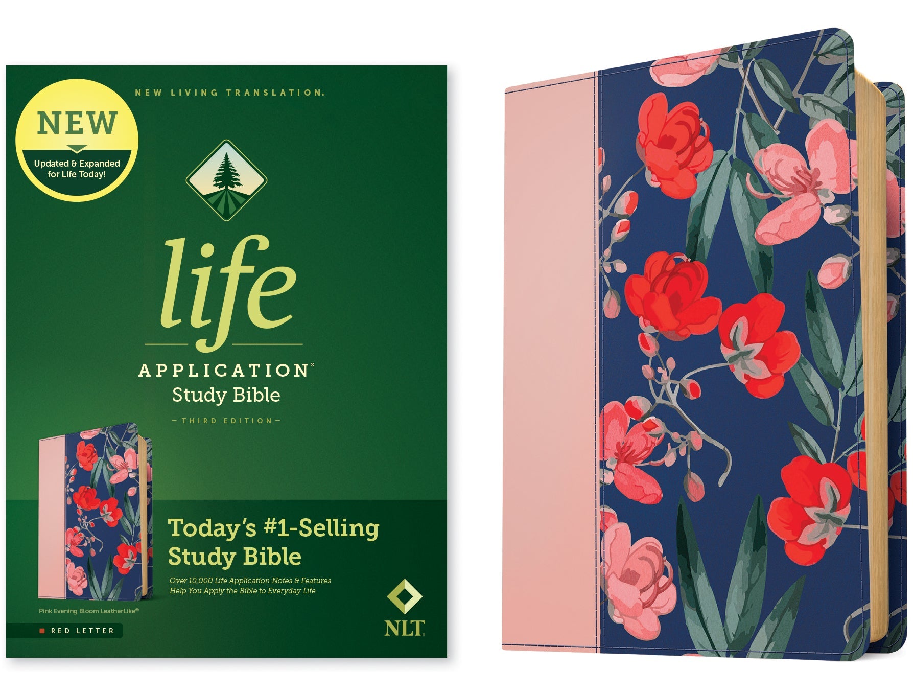 NLT Life Application Study Bible, Third Edition, Red Letter Edition, Bible Study