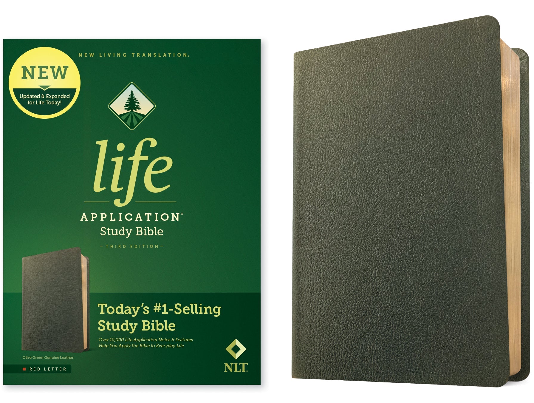 NLT Life Application Study Bible Third Edition Olive Green cover with red letter edition text