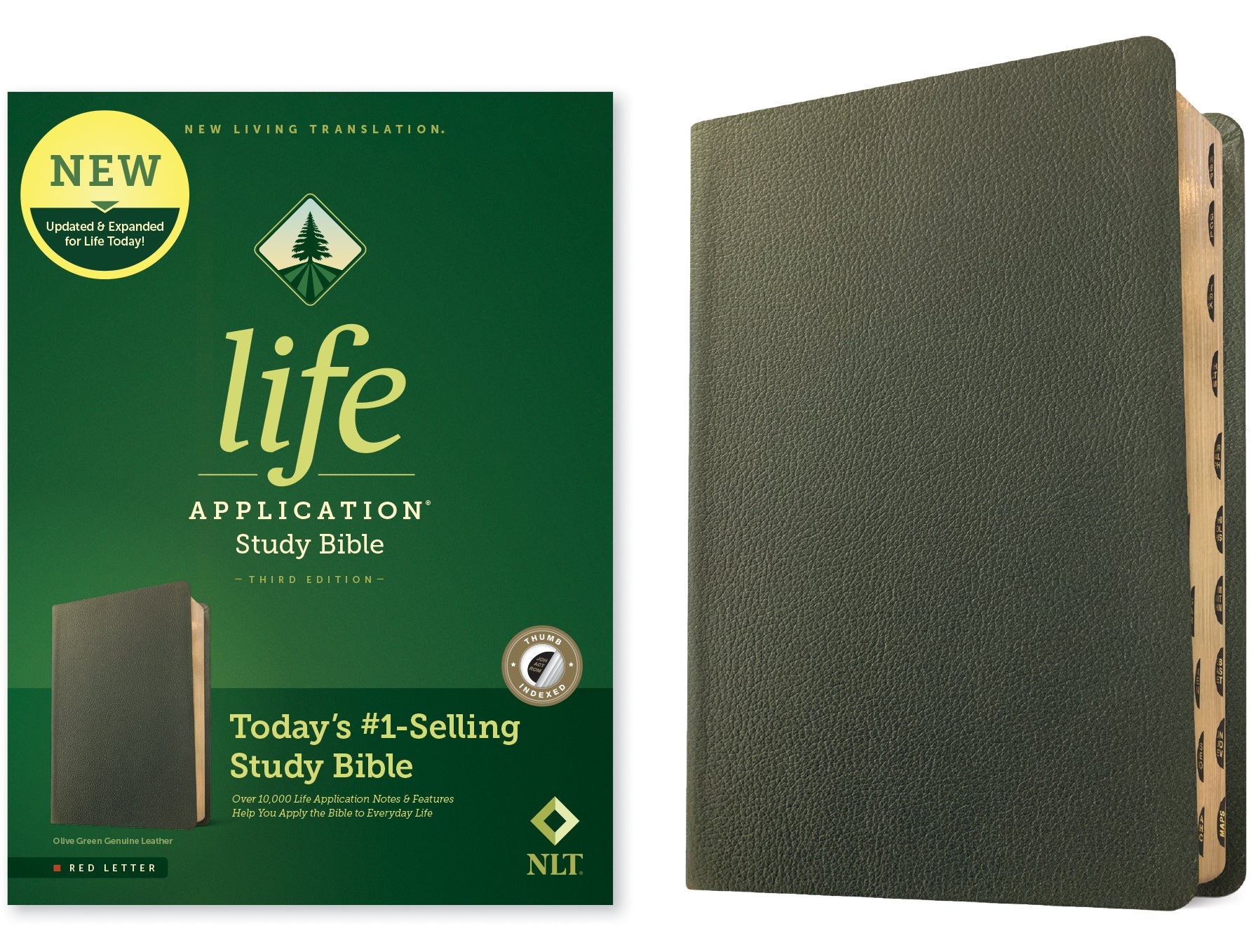 NLT Life Application Study Bible Third Edition Olive Green Indexed Red Letter Edition