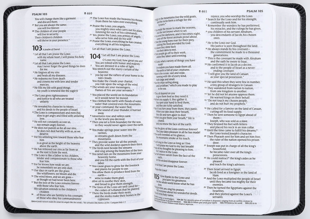 Compact Black Mountainscape New Living Translation Bible with Filament Enabled Edition