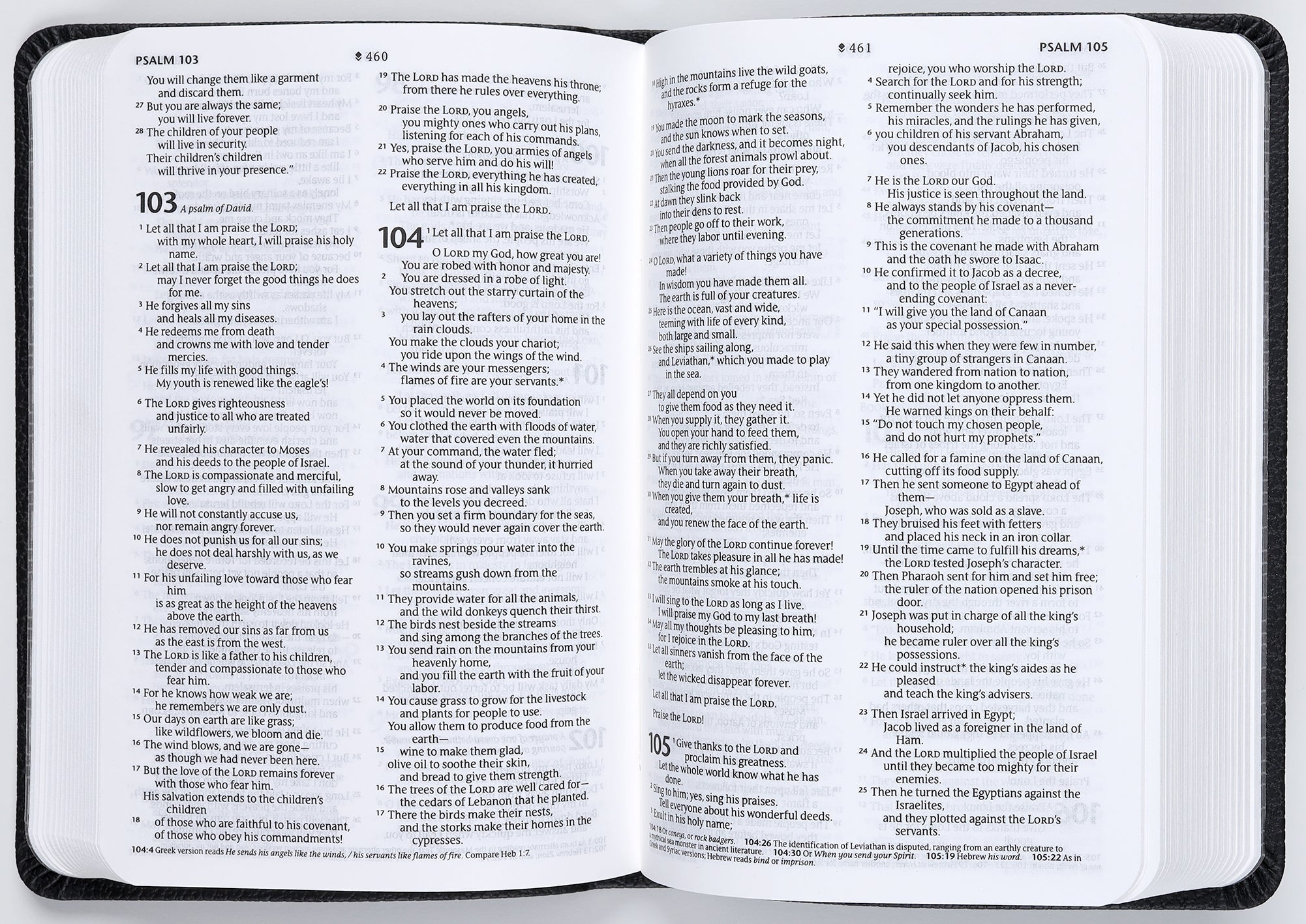 Compact Black Mountainscape New Living Translation Bible with Filament Enabled Edition