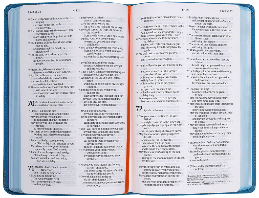 Back cover of Camo Blue NLT Kids Bible with Red Letter Edition and Thinline Reference features