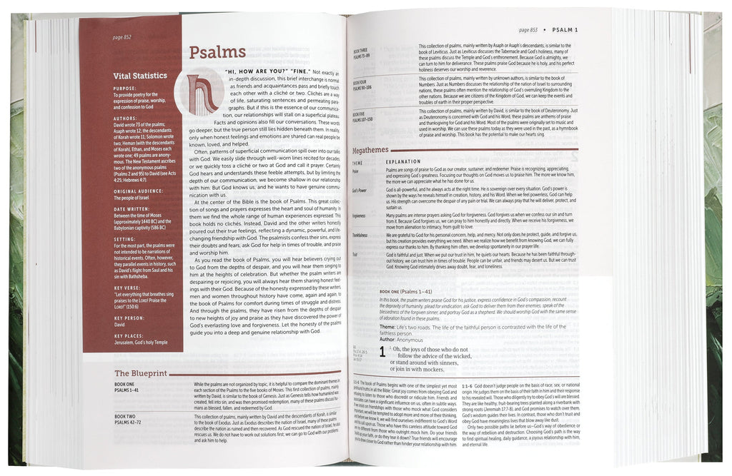 NLT Life Application Study Bible Third Edition Personal Size (Red Letter Edition)