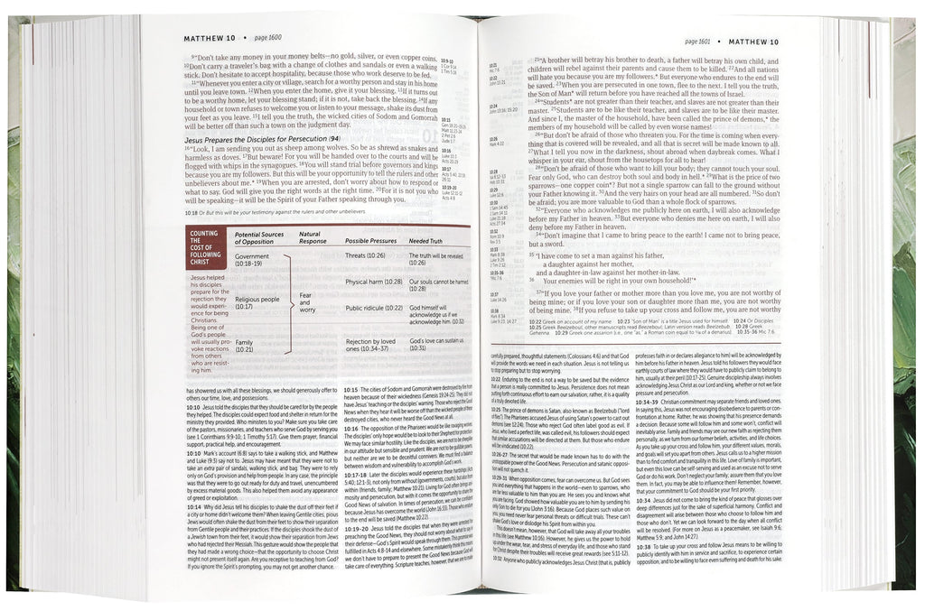 Black red personal size NLT Life Application Study Bible third edition