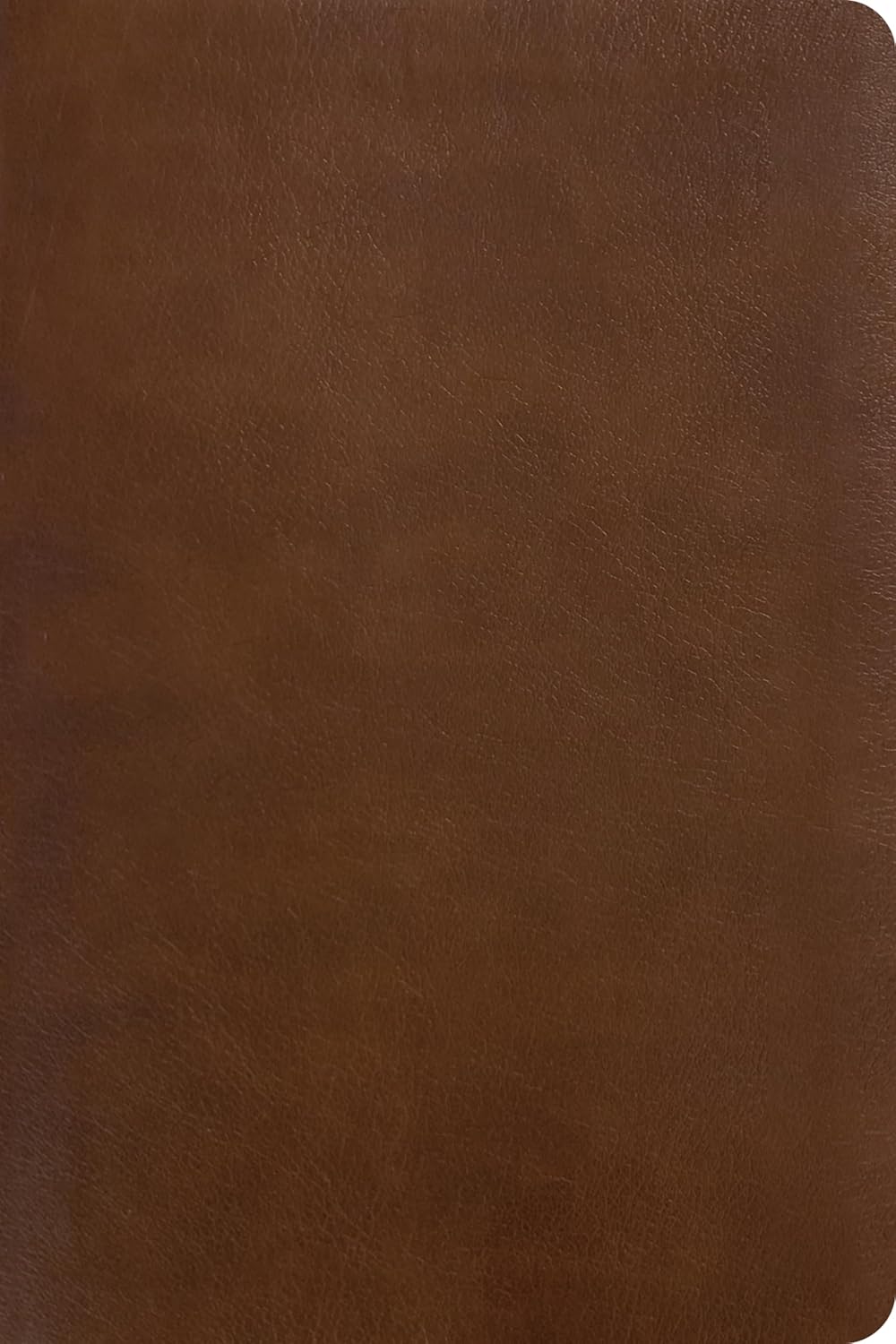 Open Bible page of NLT One Year Chronological Study Bible in Rustic Brown