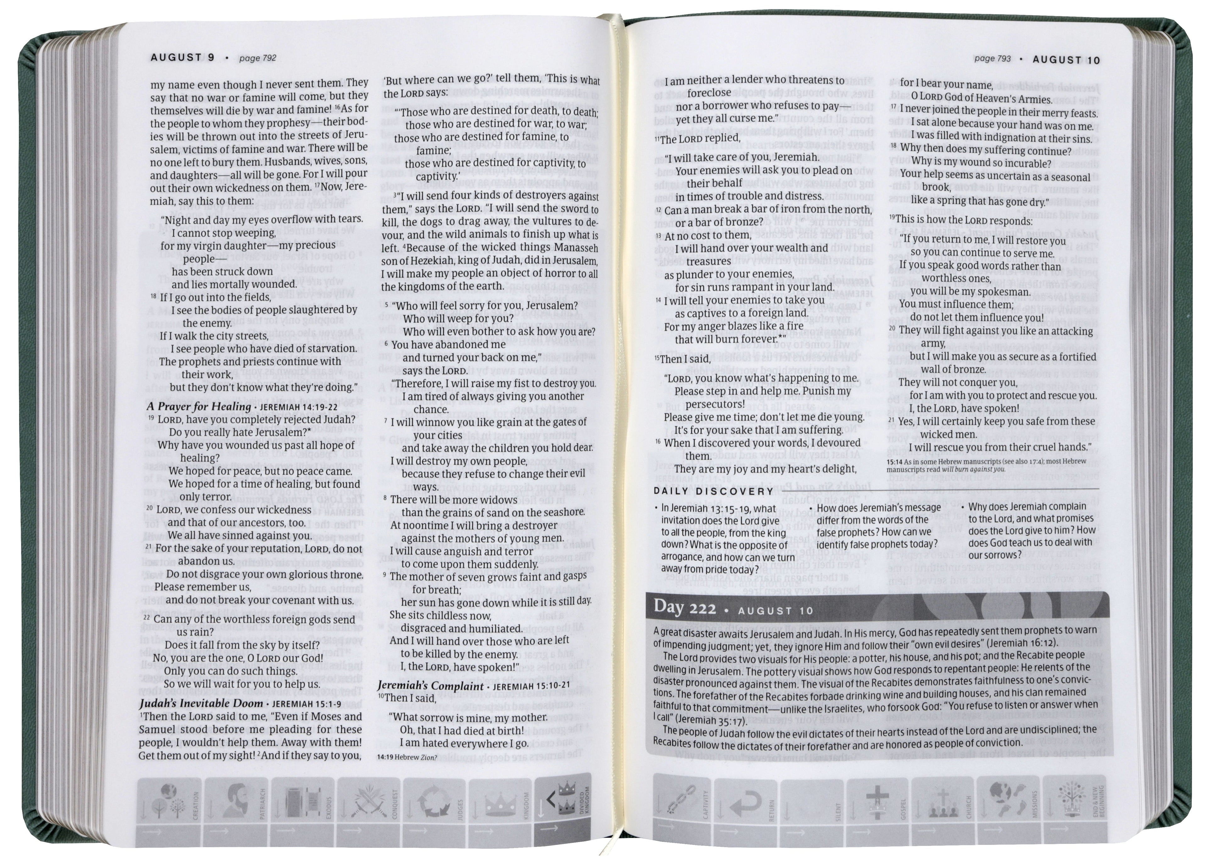 Sage Green Mosaic One Year Chronological Study Bible with Devotional Journaling Page