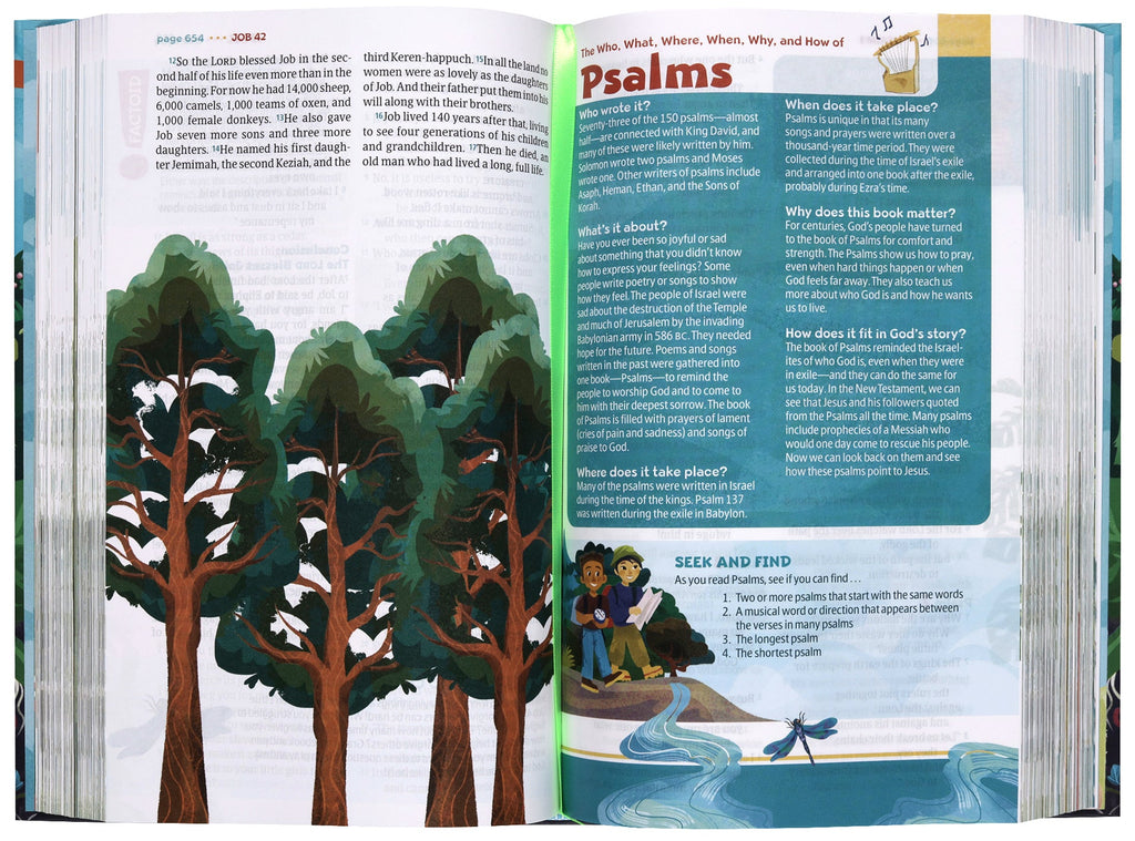 NLT Go Bible for Kids: Beach Sunrise Edition with a fun design